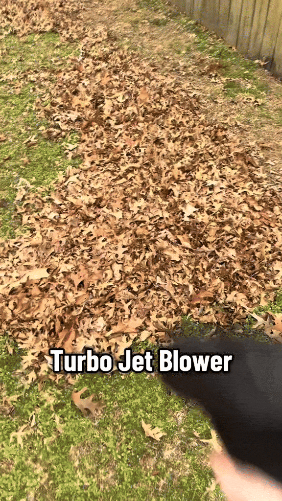 BreezeMaster Leaf Blower